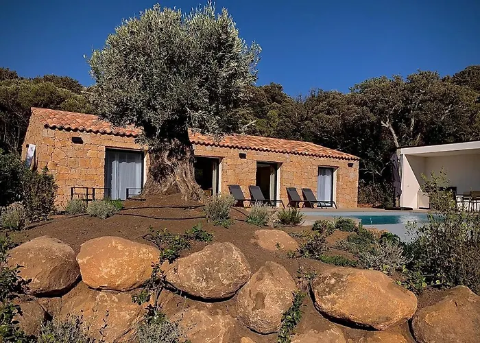 Domaine Napoleon Corsica